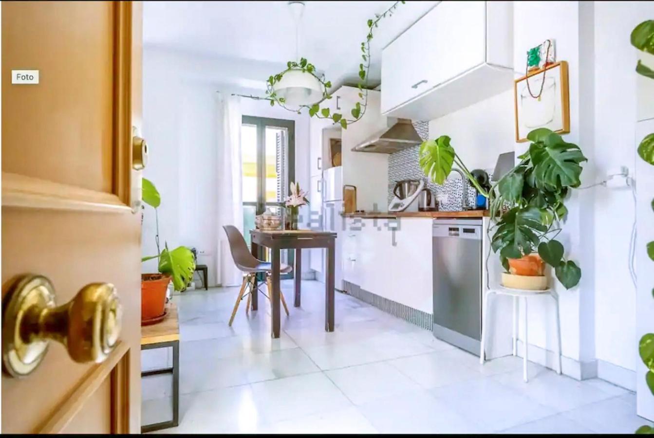 塞维利亚Atico Con Balcon En Pleno Centro公寓 外观 照片